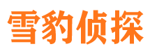 石峰市婚姻调查